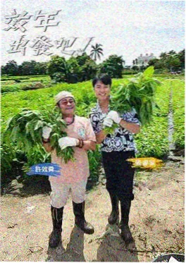 极限工坊 体能挑战综艺封面